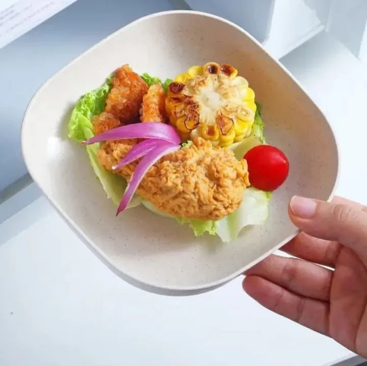 Square Plastic Plate Set (10 Pcs) with Stand | Reusable Lightweight Snack & Breakfast Plates | Multi-Color Unbreakable Kitchen Tableware for Home, Picnic & Parties