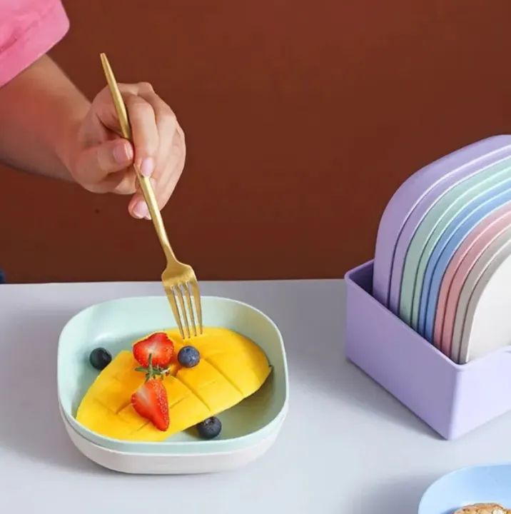 Square Plastic Plate Set (10 Pcs) with Stand | Reusable Lightweight Snack & Breakfast Plates | Multi-Color Unbreakable Kitchen Tableware for Home, Picnic & Parties